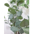 Drzewko dekoracyjne Eukaliptus w doniczce 115cm